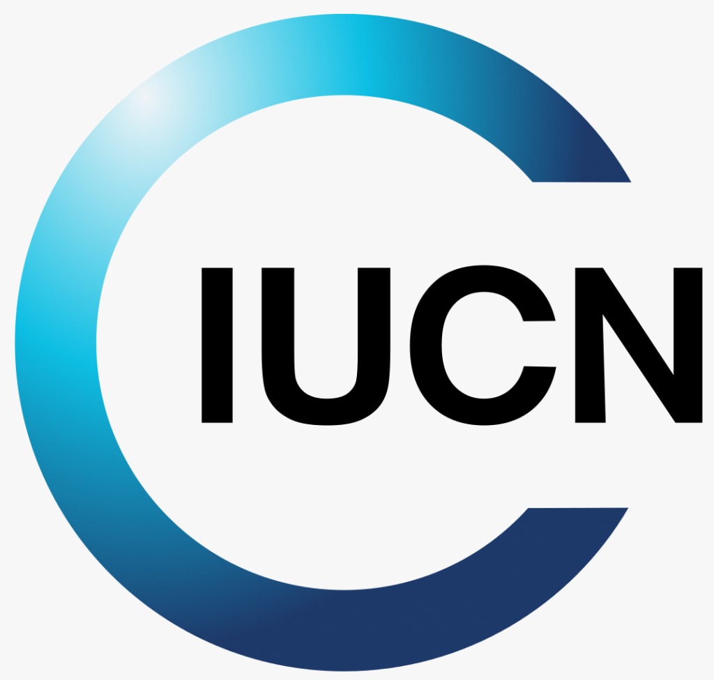 IU